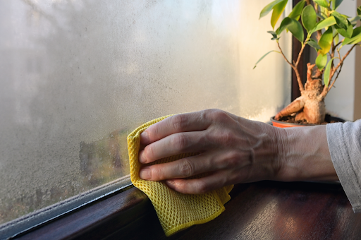 A woman wiping condensation off a window in a Erlanger, KY home.
