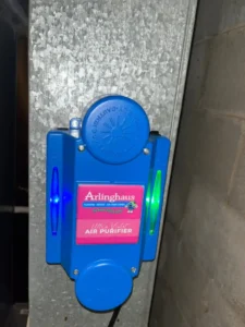 margie-cross-jobpic2