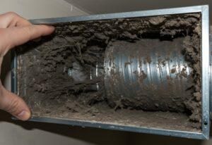 visiblemold in air duct